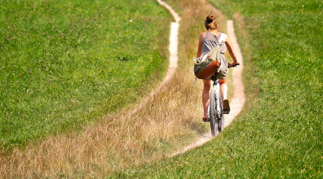 elektrische fiets